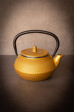 Load image into Gallery viewer, Cast Iron Tea Pot (300ml)
