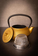 Load image into Gallery viewer, Cast Iron Tea Pot (300ml)
