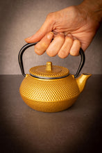 Load image into Gallery viewer, Cast Iron Tea Pot (300ml)
