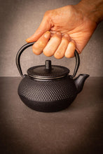 Load image into Gallery viewer, Cast Iron Tea Pot (300ml)
